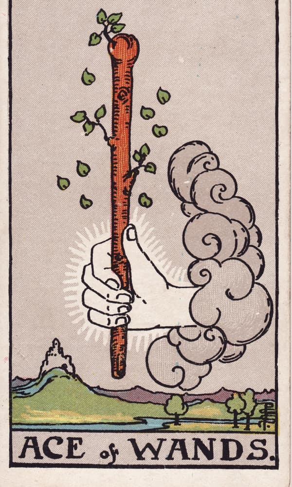 Ace of Wands