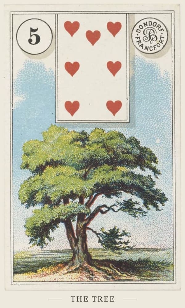 The Tree