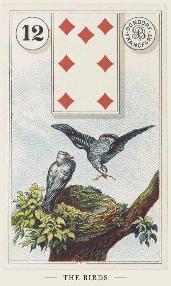 The Birds