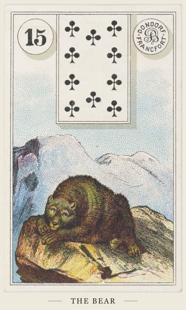 The Bear