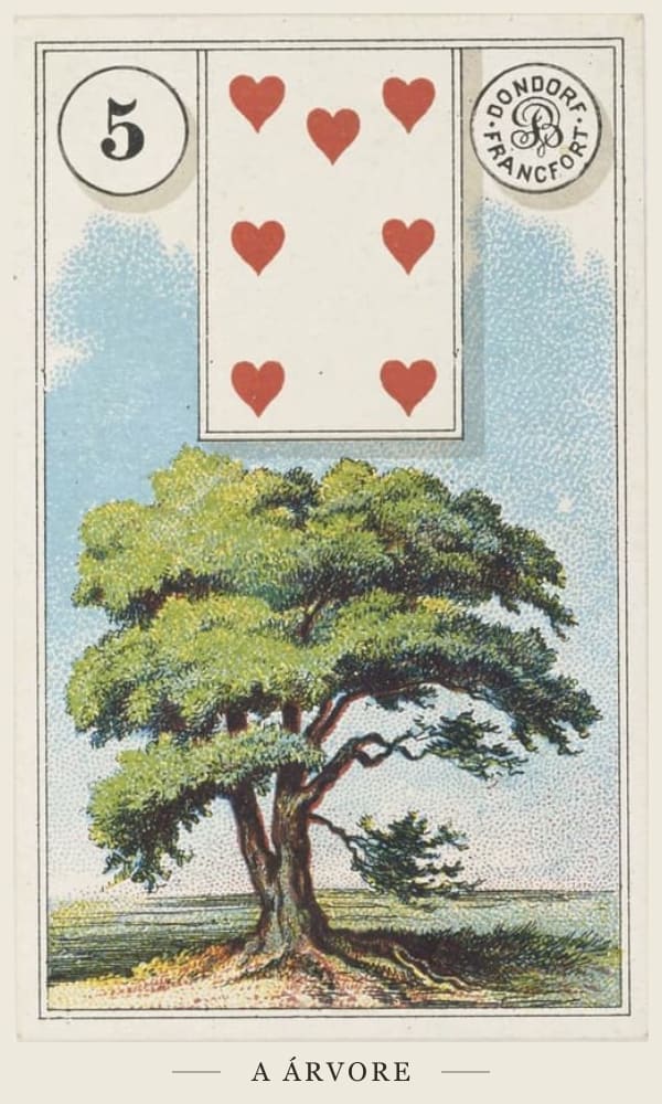 A Árvore