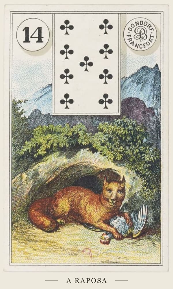 A Raposa